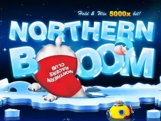 Northern Boom icon
