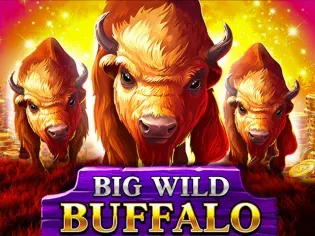 Big Wild Buffalo icon